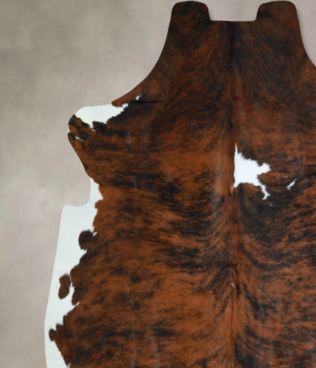 Tricolor X-Large European Cowhide Rug 7'1"H x 6'11"W #A41053 by Hudson