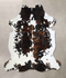 Tricolor X-Large European Cowhide Rug 7'4