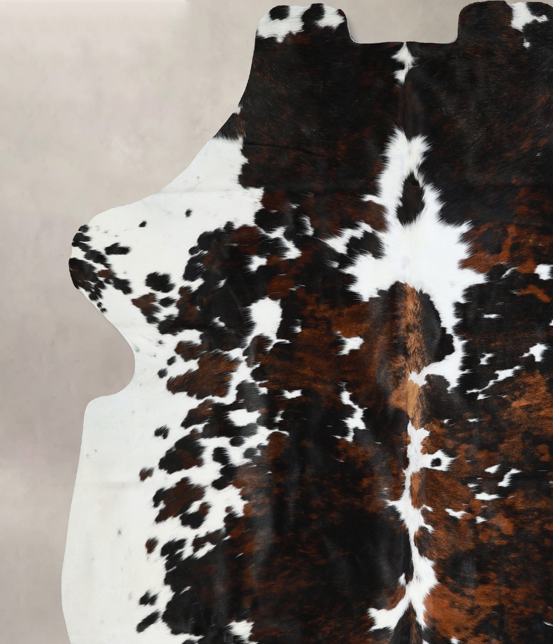 Tricolor X-Large European Cowhide Rug 7'4"H x 6'8"W #A41071 by Hudson 