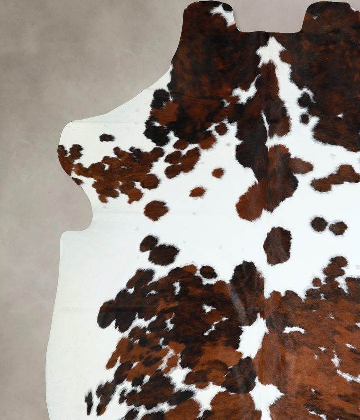Tricolor XX-Large European Cowhide Rug 7'5"H x 7'0"W #A41076 by Hudson Hides