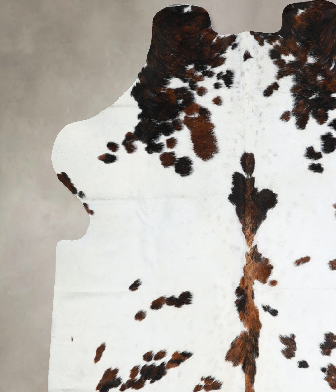 Tricolor Large European Cowhide Rug 6'4"H x 6'2"W #A41083 by Hudson Hi