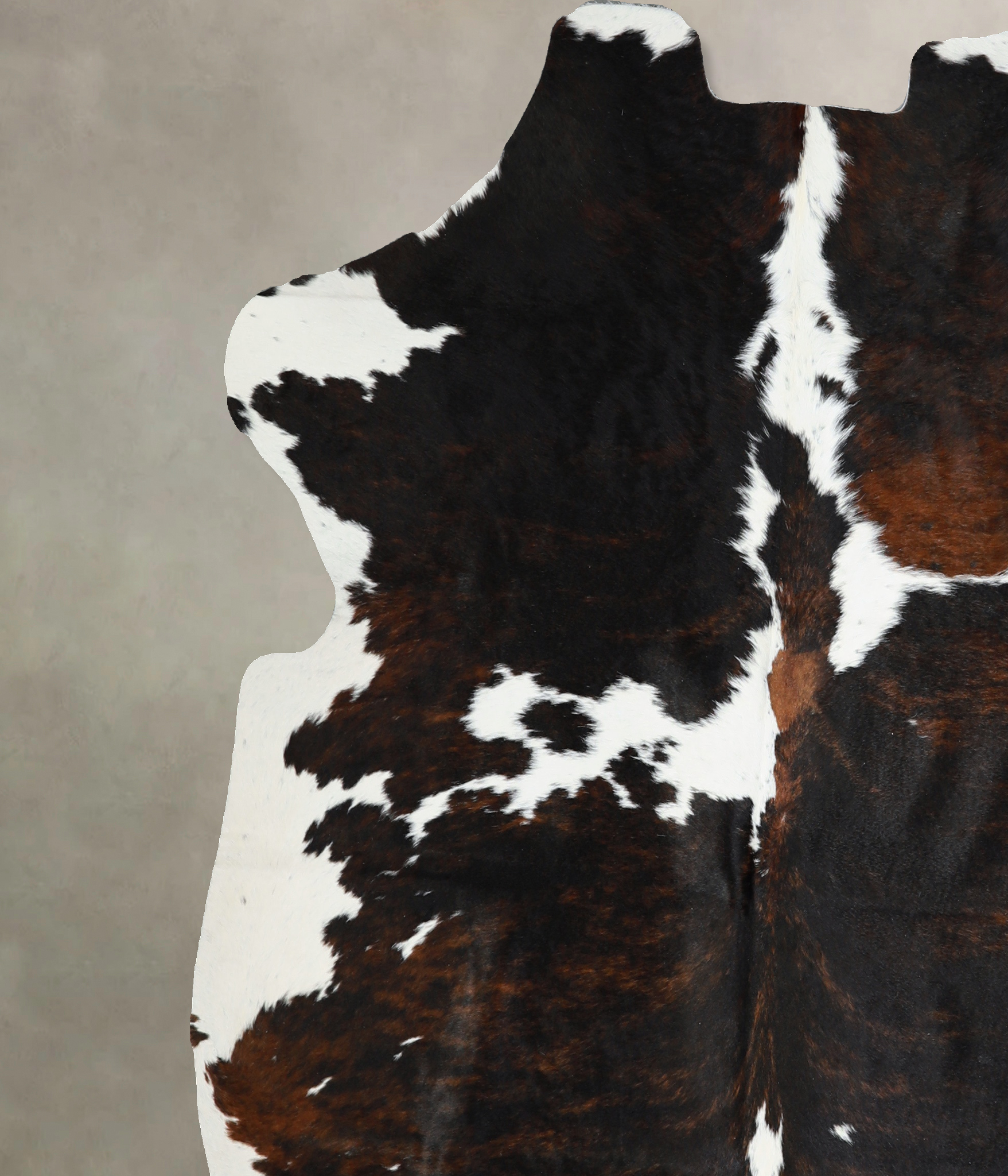Tricolor Cowhide Rug #A41084