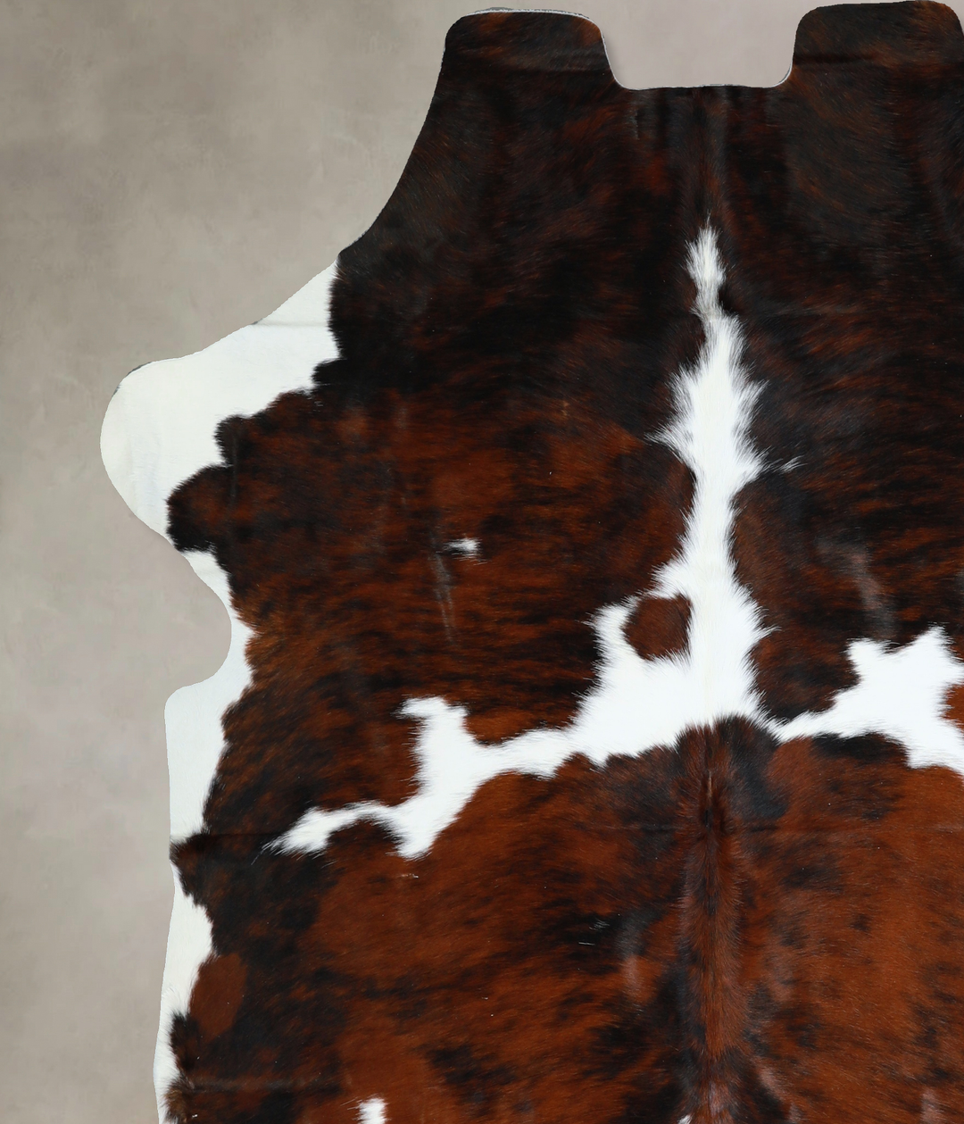 Tricolor X-Large European Cowhide Rug 6'9"H x 6'4"W #A41087 by Hudson 
