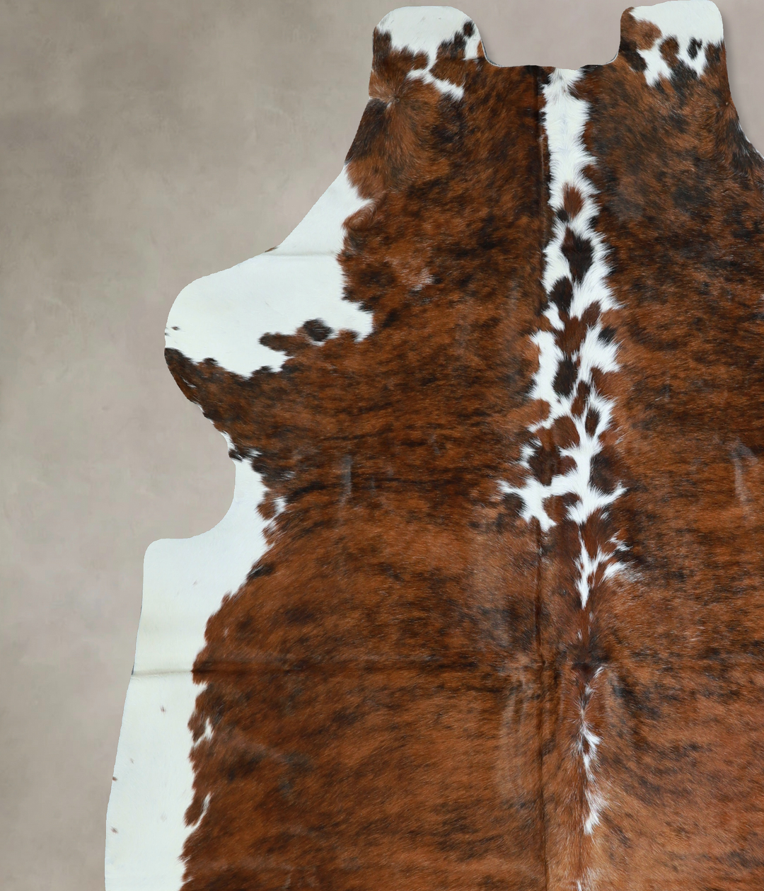 Tricolor X-Large European Cowhide Rug 7'1"H x 6'7"W #A41101 by Hudson 