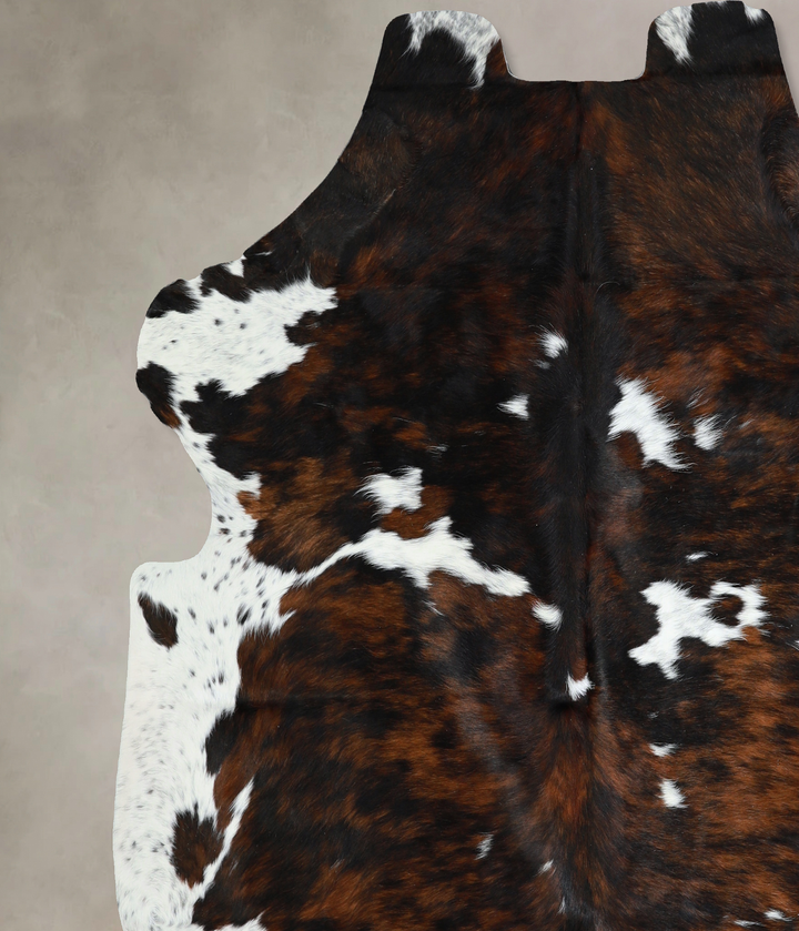 Tricolor X-Large European Cowhide Rug 7'2"H x 6'8"W #A41104 by Hudson Hides