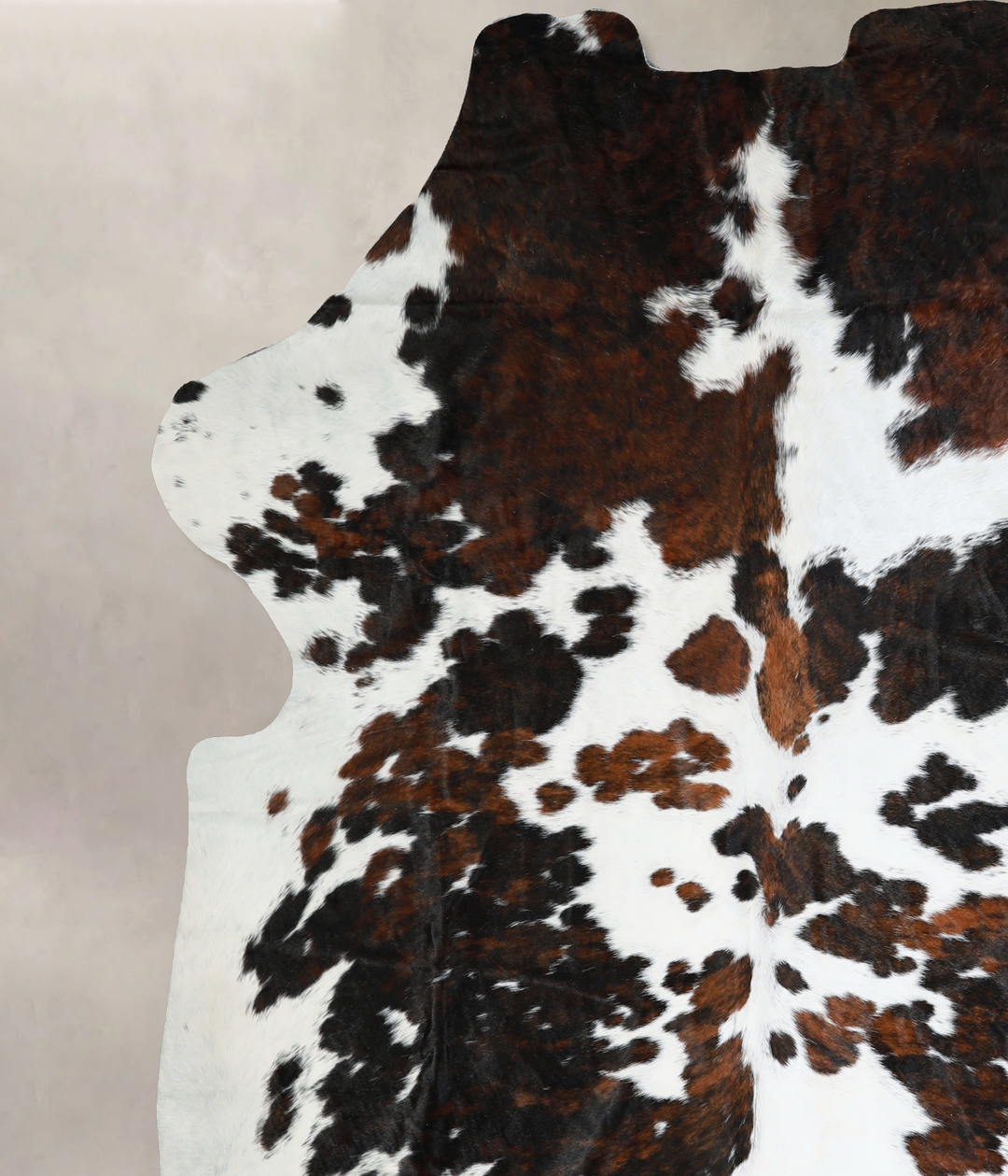 Tricolor XX-Large European Cowhide Rug 7'11"H x 6'11"W #A41119 by Huds