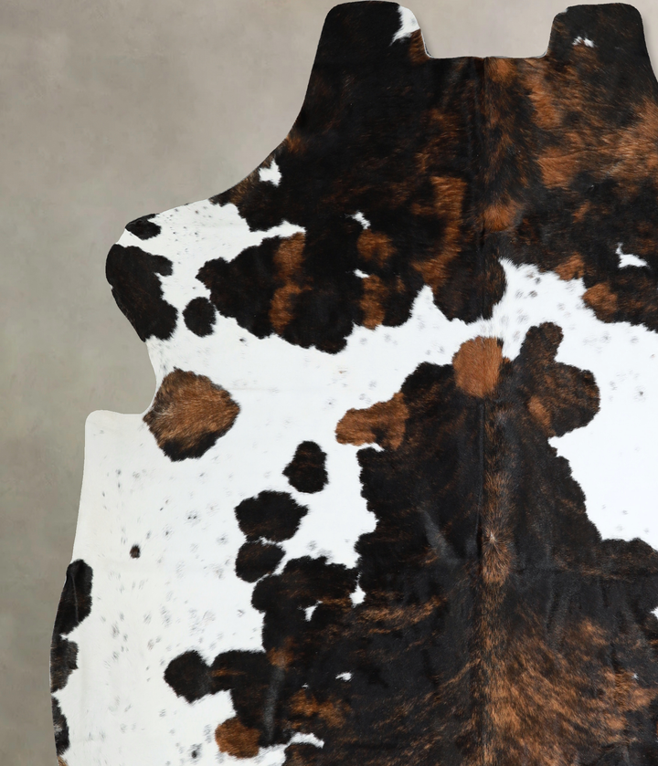 Tricolor XX-Large European Cowhide Rug 7'6"H x 7'1"W #A41120 by Hudson Hides