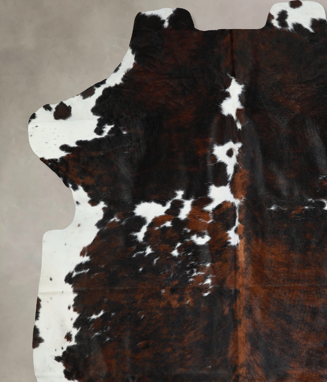 Tricolor X-Large European Cowhide Rug 7'4"H x 6'6"W #A41121 by Hudson 