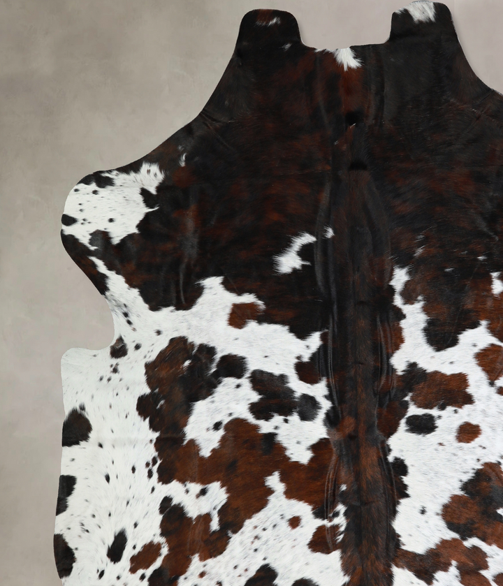 Tricolor X-Large European Cowhide Rug 7'3"H x 6'10"W #A41129 by Hudson Hides