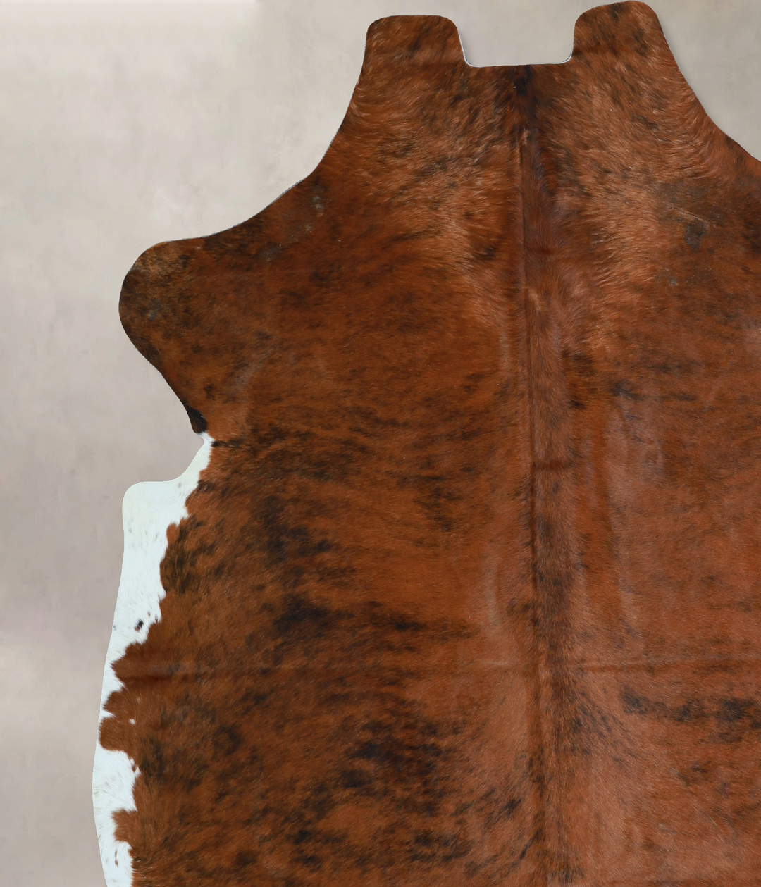 Tricolor X-Large European Cowhide Rug 7'1"H x 6'7"W #A41135 by Hudson 