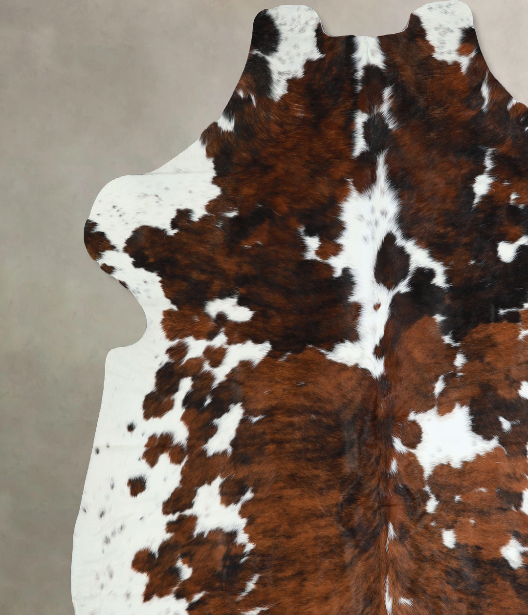 Tricolor X-Large European Cowhide Rug 6'10"H x 6'7"W #A41139 by Hudson