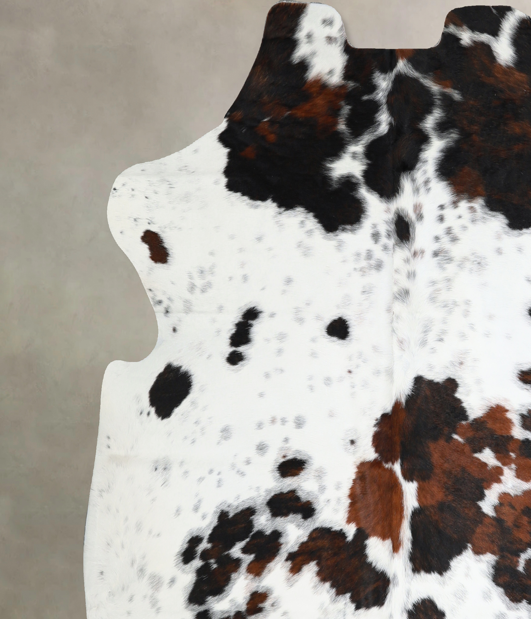 Tricolor Cowhide Rug #A41141
