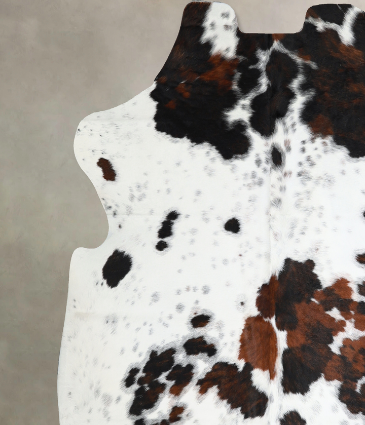 Tricolor X-Large European Cowhide Rug 6'6"H x 6'8"W #A41141 by Hudson Hides