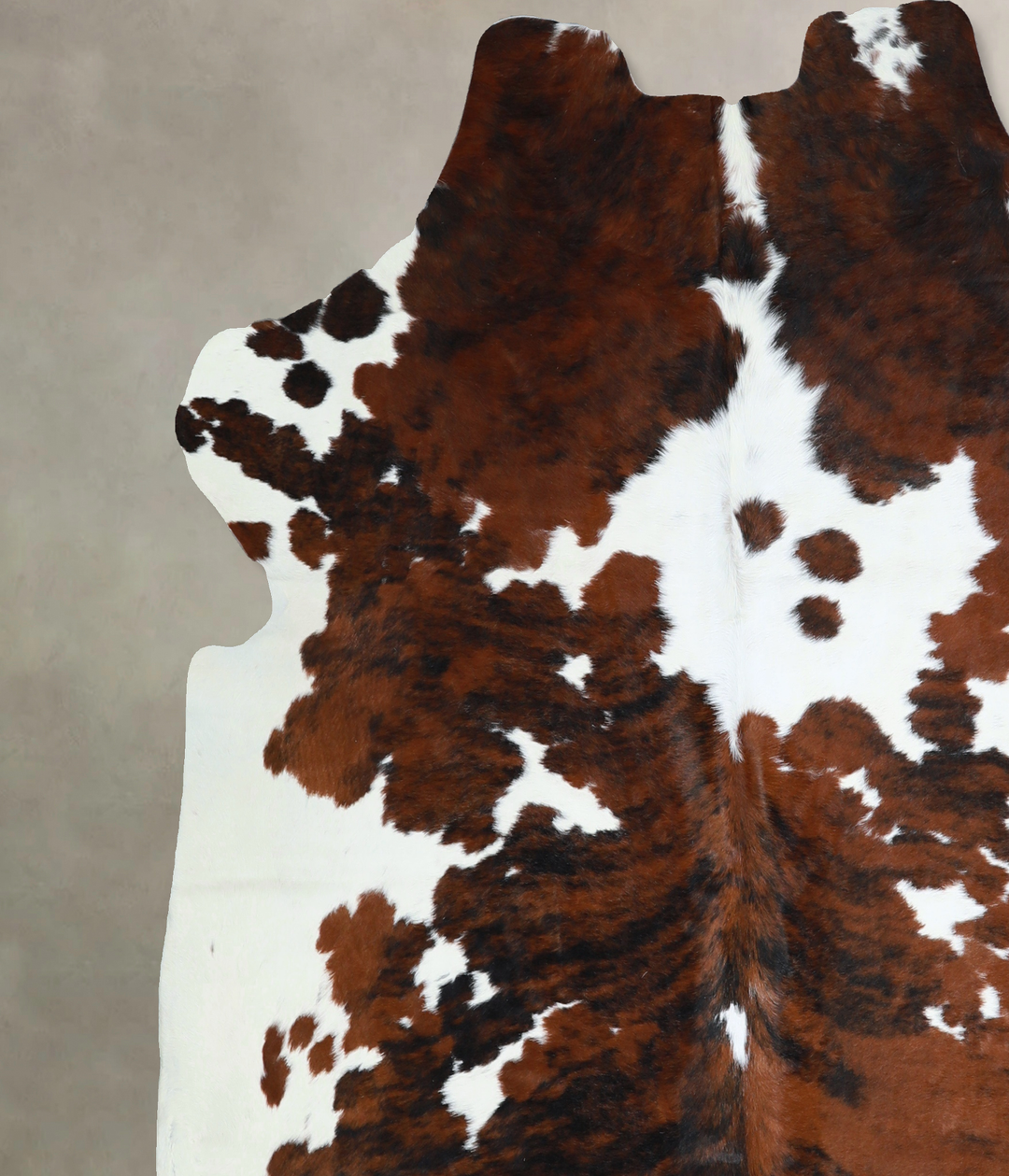 Tricolor X-Large European Cowhide Rug 6'6"H x 6'7"W #A41143 by Hudson 