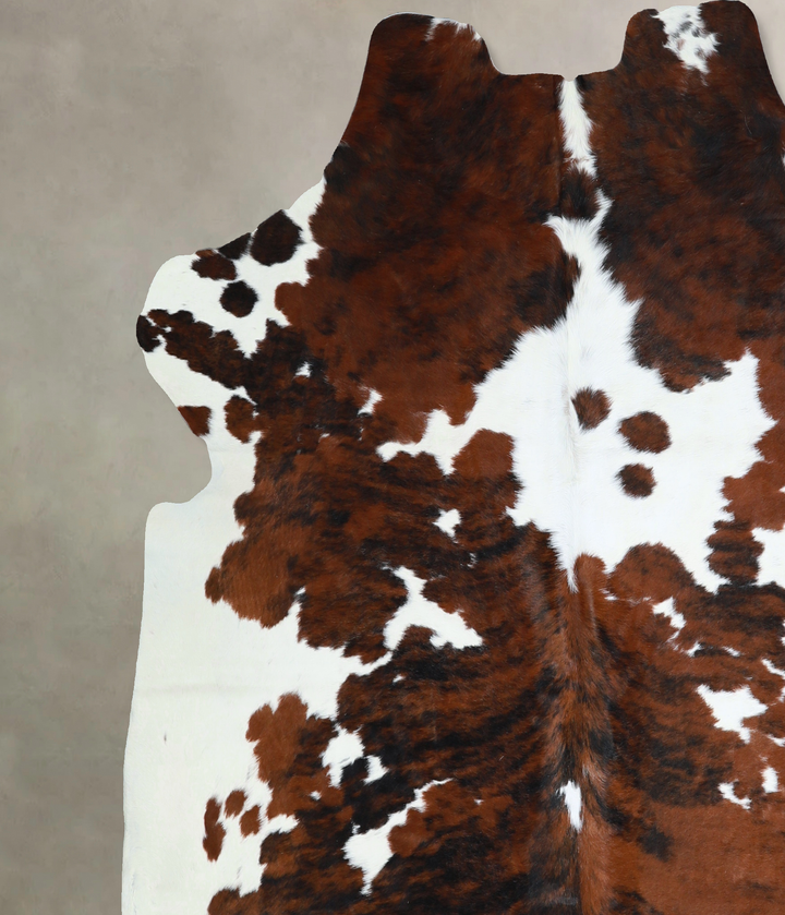 Tricolor X-Large European Cowhide Rug 6'6"H x 6'7"W #A41143 by Hudson Hides
