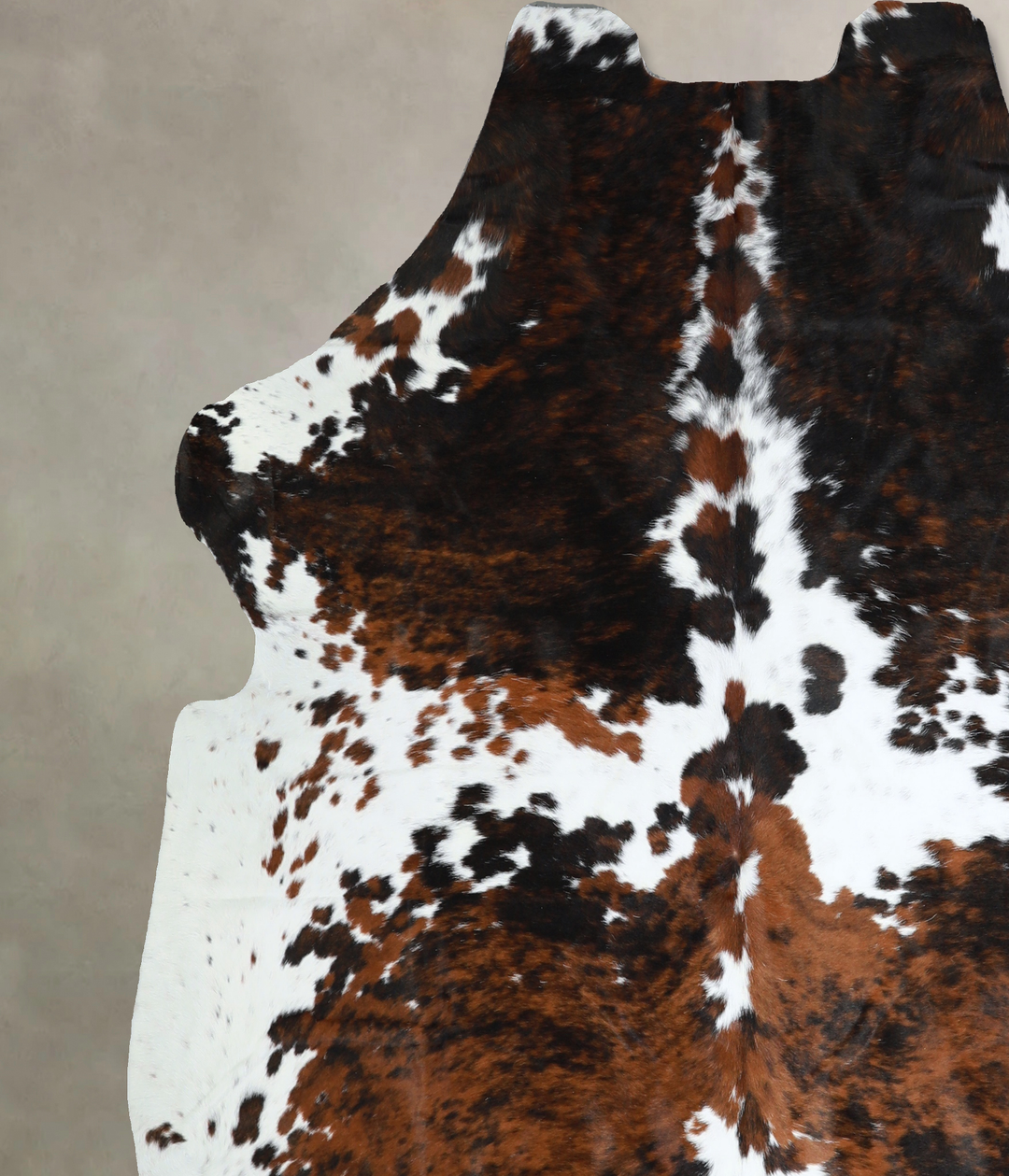 Tricolor X-Large European Cowhide Rug 6'10"H x 6'7"W #A41144 by Hudson
