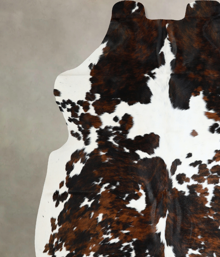 Tricolor X-Large European Cowhide Rug 6'11"H x 6'9"W #A41147 by Hudson Hides
