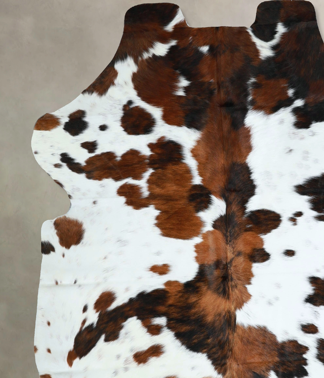 Tricolor X-Large European Cowhide Rug 6'11"H x 6'2"W #A41158 by Hudson
