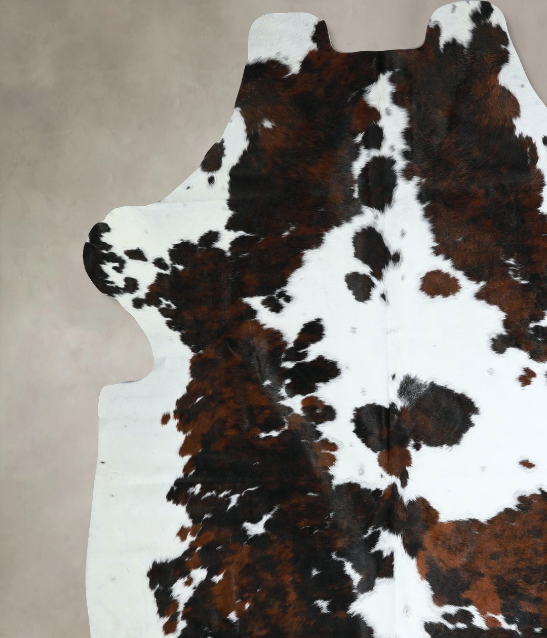 Tricolor X-Large European Cowhide Rug 7'2"H x 6'9"W #A41161 by Hudson 