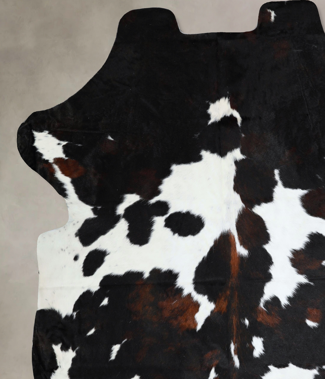 Tricolor XX-Large European Cowhide Rug 7'8"H x 6'9"W #A41164 by Hudson