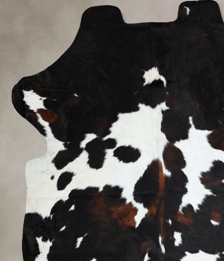 Tricolor XX-Large European Cowhide Rug 7'8"H x 6'9"W #A41164 by Hudson Hides