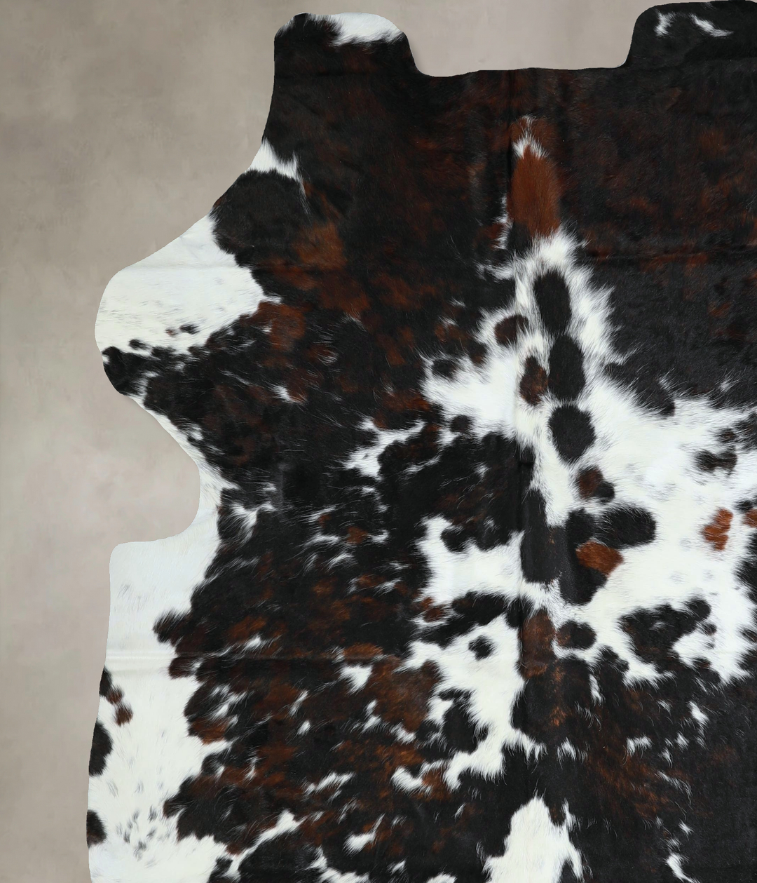 Tricolor X-Large European Cowhide Rug 7'6"H x 6'7"W #A41169 by Hudson 