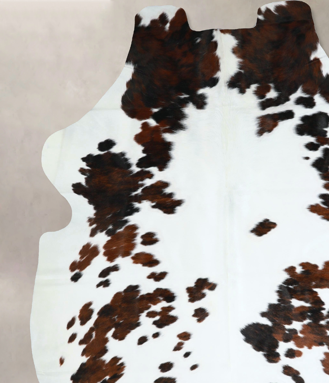 Tricolor X-Large European Cowhide Rug 7'6"H x 6'4"W #A41179 by Hudson 