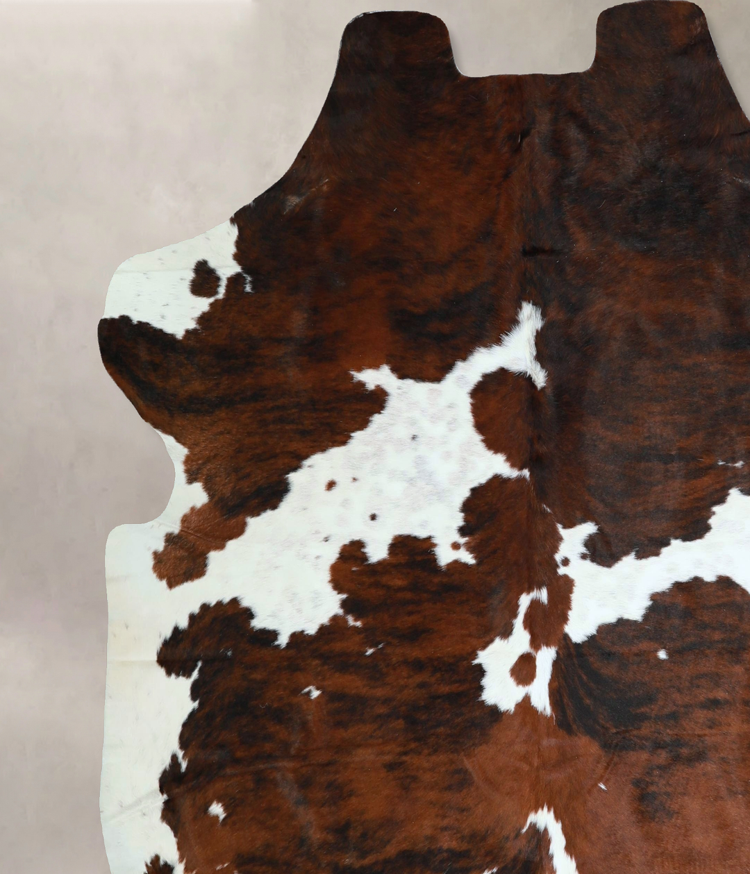 Tricolor X-Large European Cowhide Rug 6'11"H x 6'8"W #A41186 by Hudson