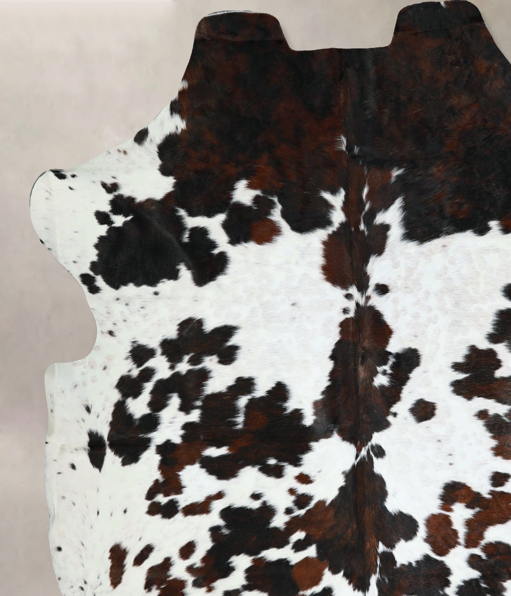 Tricolor Cowhide Rug #A41187