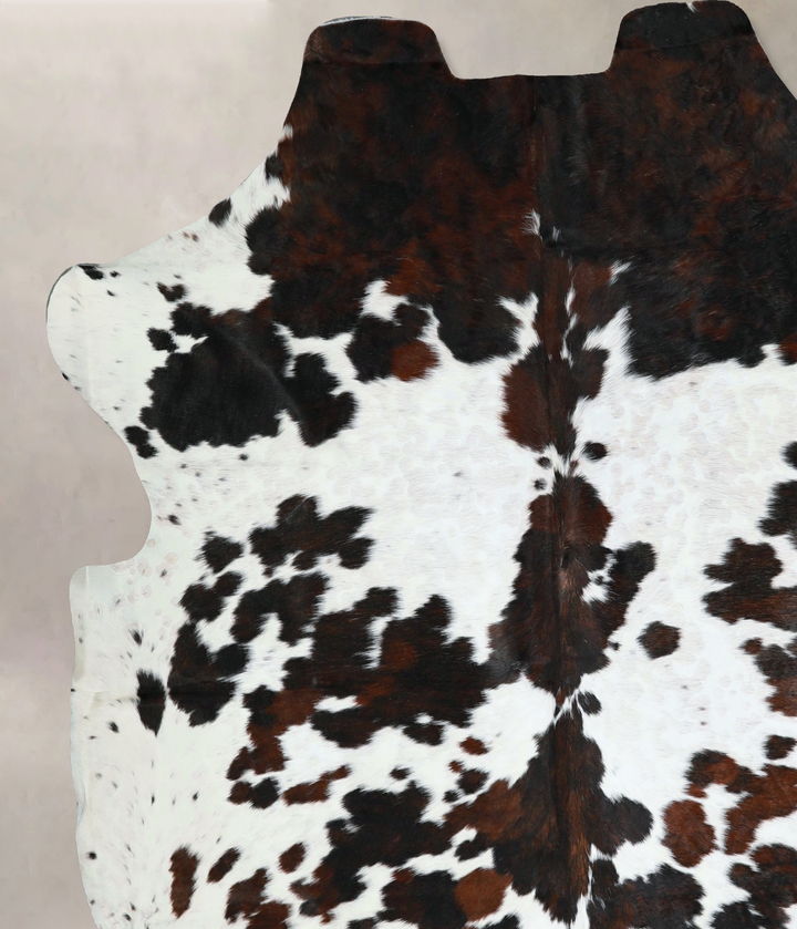 Tricolor X-Large European Cowhide Rug 7'3"H x 6'9"W #A41187 by Hudson Hides