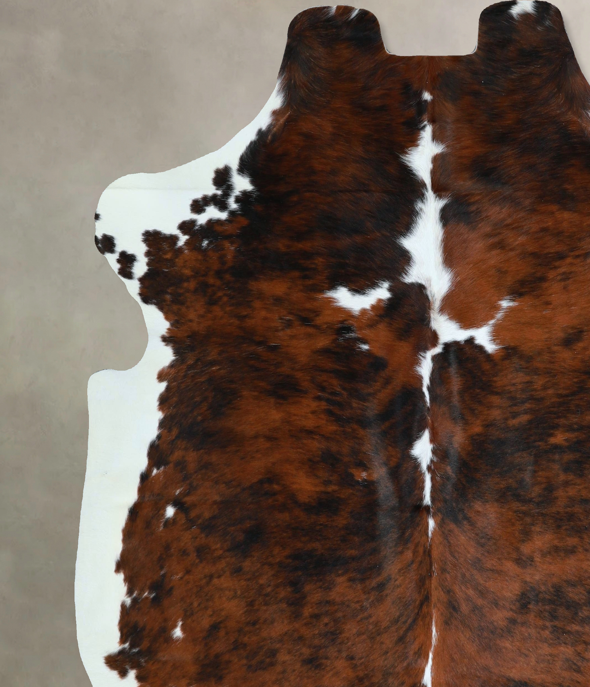 Tricolor X-Large European Cowhide Rug 7'1"H x 6'7"W #A41189 by Hudson Hides