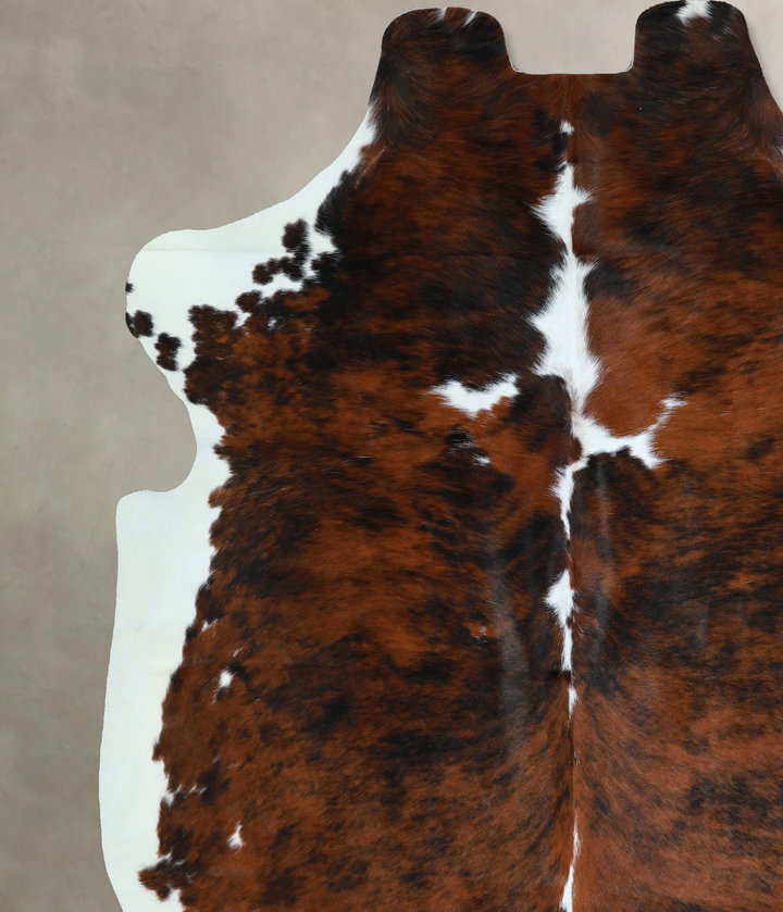 Tricolor X-Large European Cowhide Rug 7'1"H x 6'7"W #A41189 by Hudson Hides