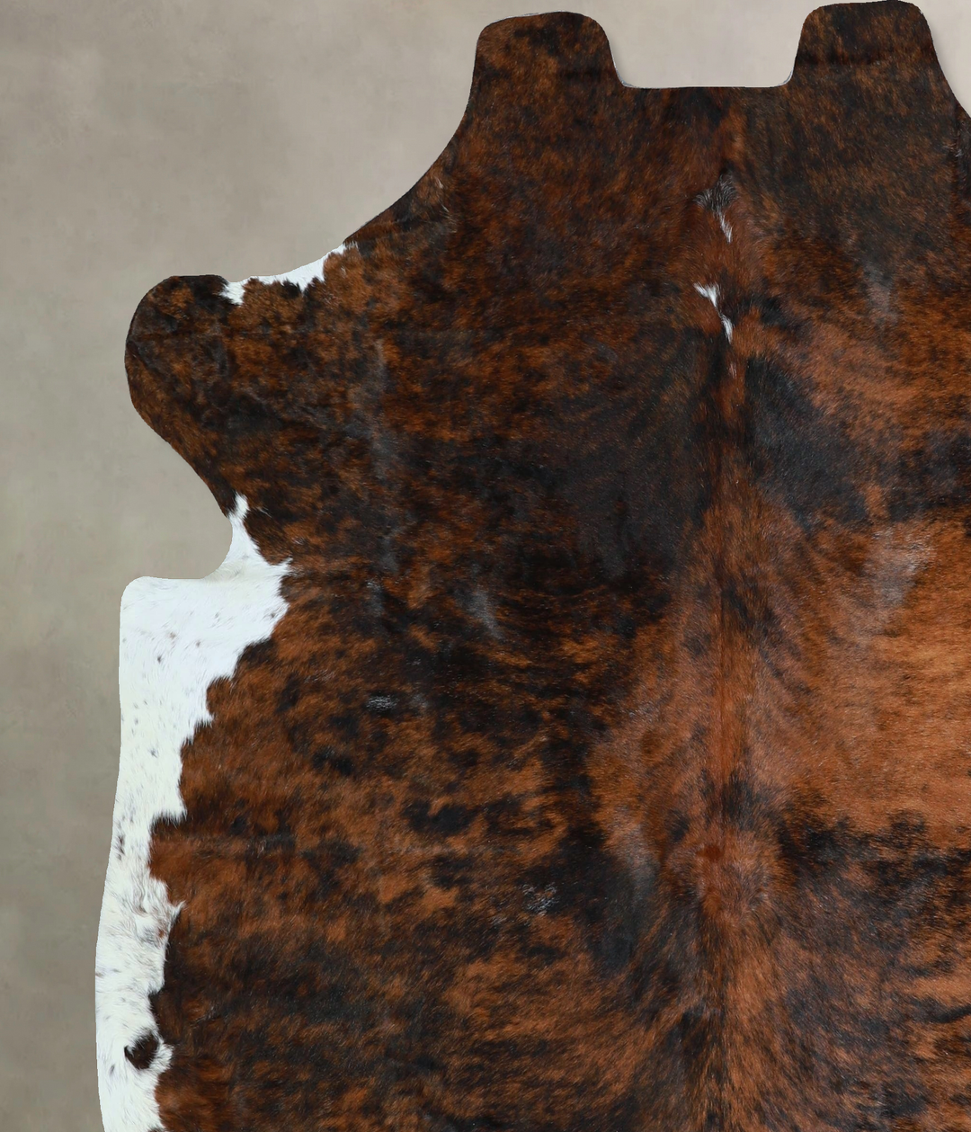 Tricolor X-Large European Cowhide Rug 6'10"H x 6'3"W #A41191 by Hudson
