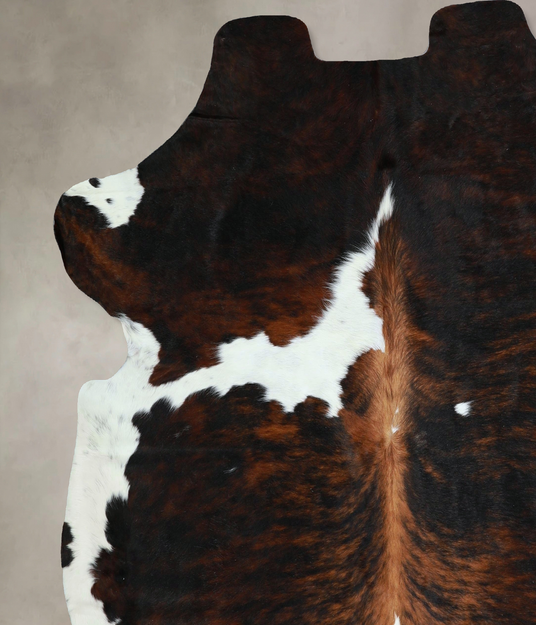 Tricolor X-Large European Cowhide Rug 6'11"H x 6'9"W #A41192 by Hudson