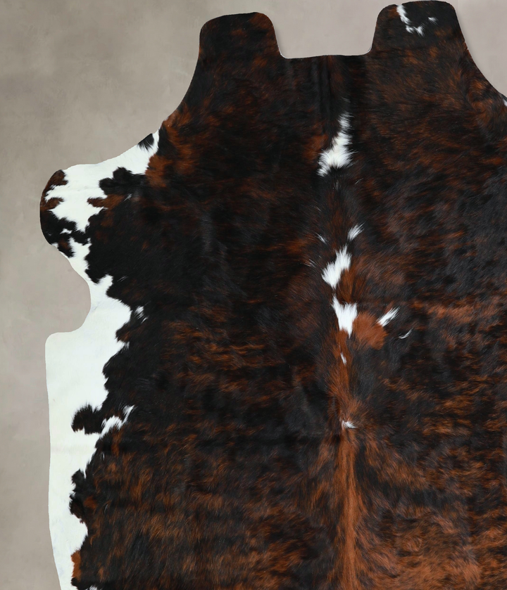 Tricolor X-Large European Cowhide Rug 7'0"H x 6'7"W #A41194 by Hudson Hides