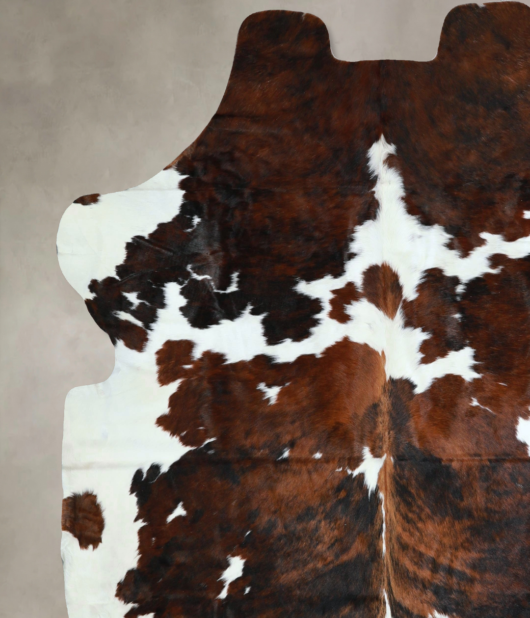 Tricolor X-Large European Cowhide Rug 7'5"H x 6'8"W #A41200 by Hudson 