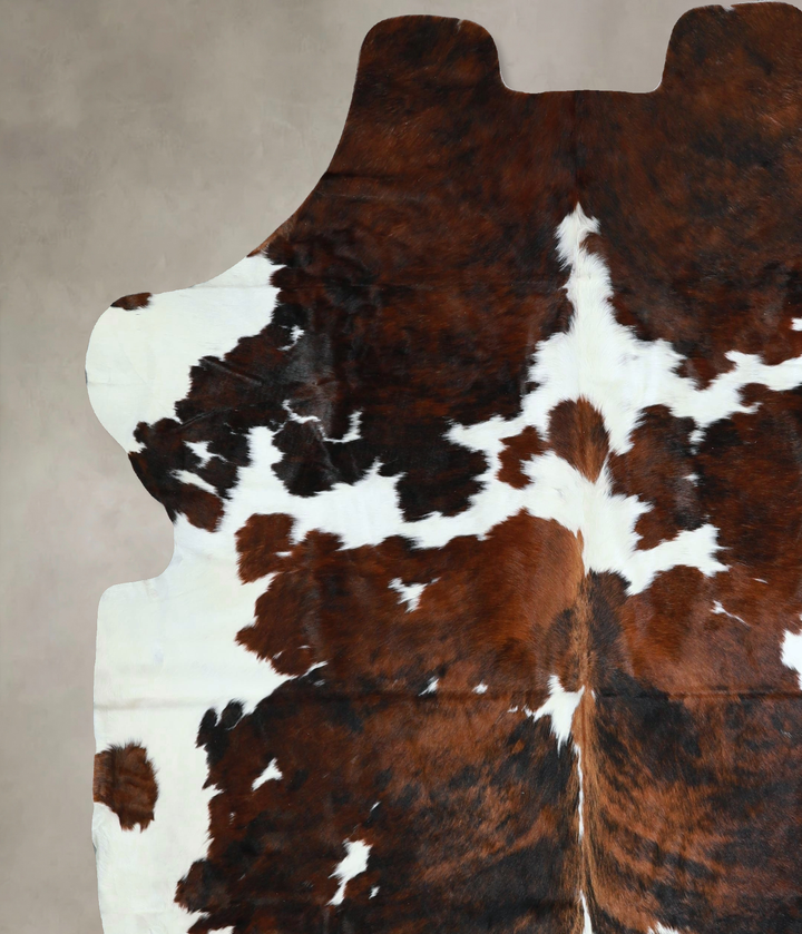Tricolor X-Large European Cowhide Rug 7'5"H x 6'8"W #A41200 by Hudson Hides