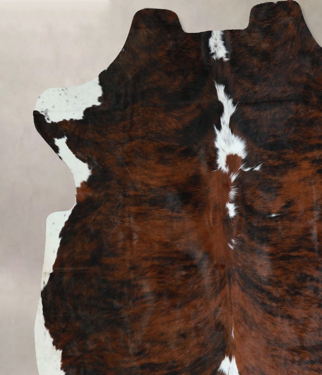 Tricolor X-Large European Cowhide Rug 6'8"H x 6'7"W #A41211 by Hudson 