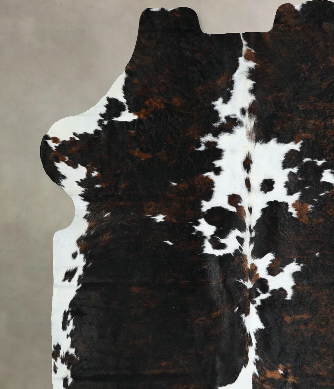 Tricolor X-Large European Cowhide Rug 6'9"H x 6'2"W #A41213 by Hudson 