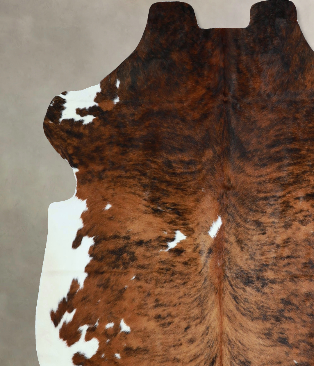 Tricolor X-Large European Cowhide Rug 6'7"H x 6'2"W #A41214 by Hudson 