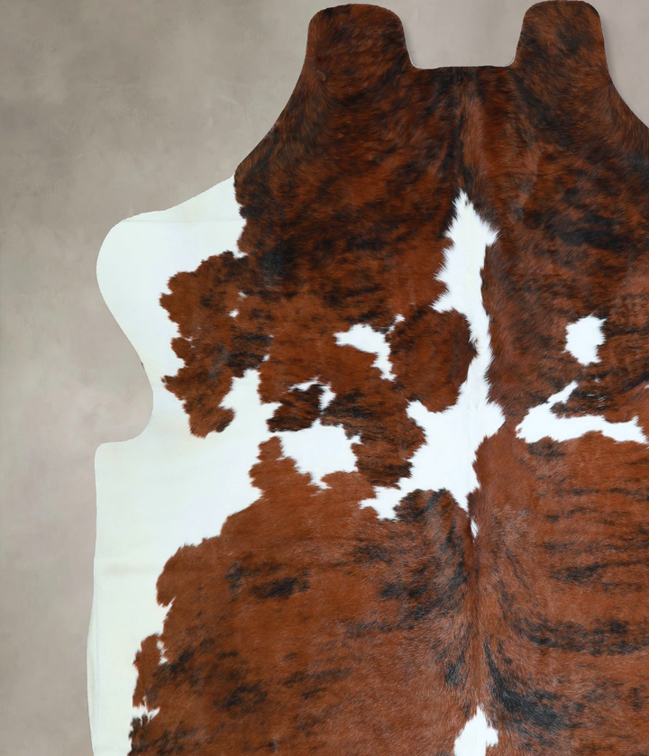 Tricolor X-Large European Cowhide Rug 6'9"H x 6'8"W #A41215 by Hudson Hides