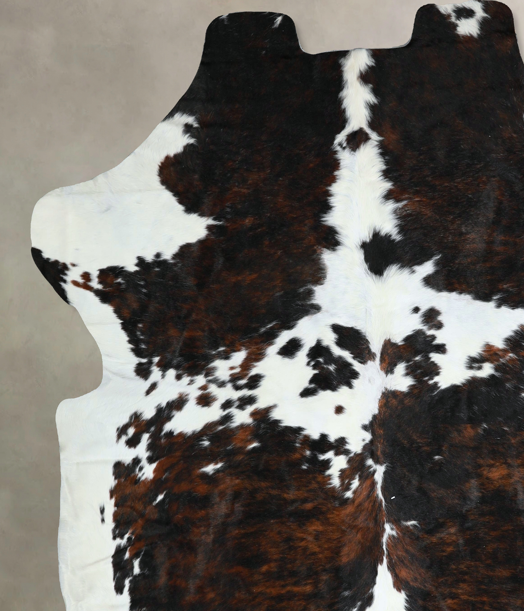 Tricolor XX-Large European Cowhide Rug 7'9"H x 7'2"W #A41216 by Hudson