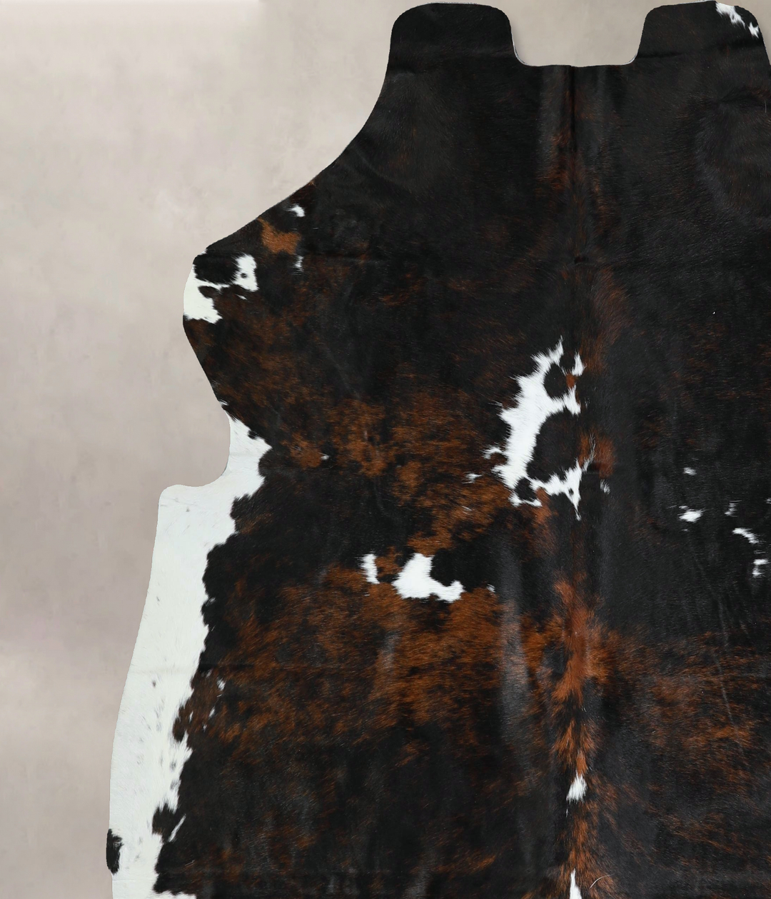 Tricolor X-Large European Cowhide Rug 7'4"H x 6'9"W #A41218 by Hudson 
