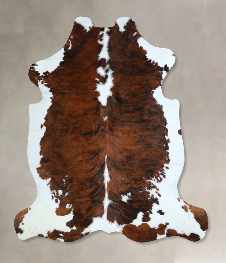 Tricolor X-Large European Cowhide Rug 6'10"H x 6'5"W #A41223 by Hudson Hides