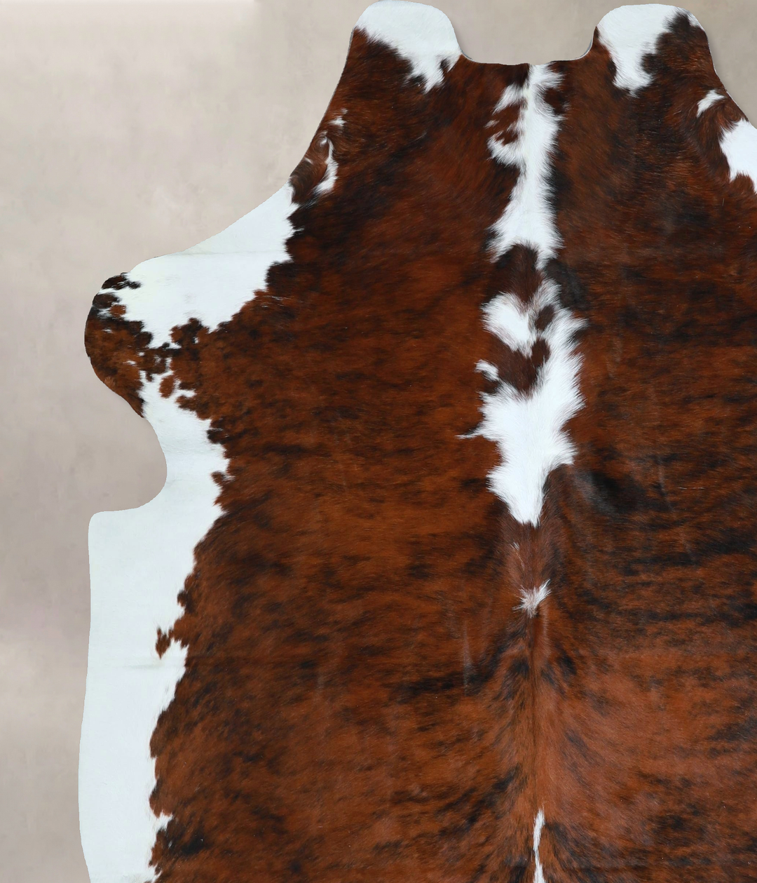 Tricolor X-Large European Cowhide Rug 6'10"H x 6'5"W #A41223 by Hudson