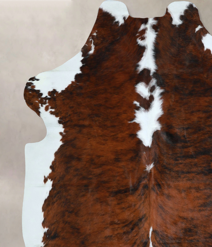 Tricolor X-Large European Cowhide Rug 6'10"H x 6'5"W #A41223 by Hudson Hides