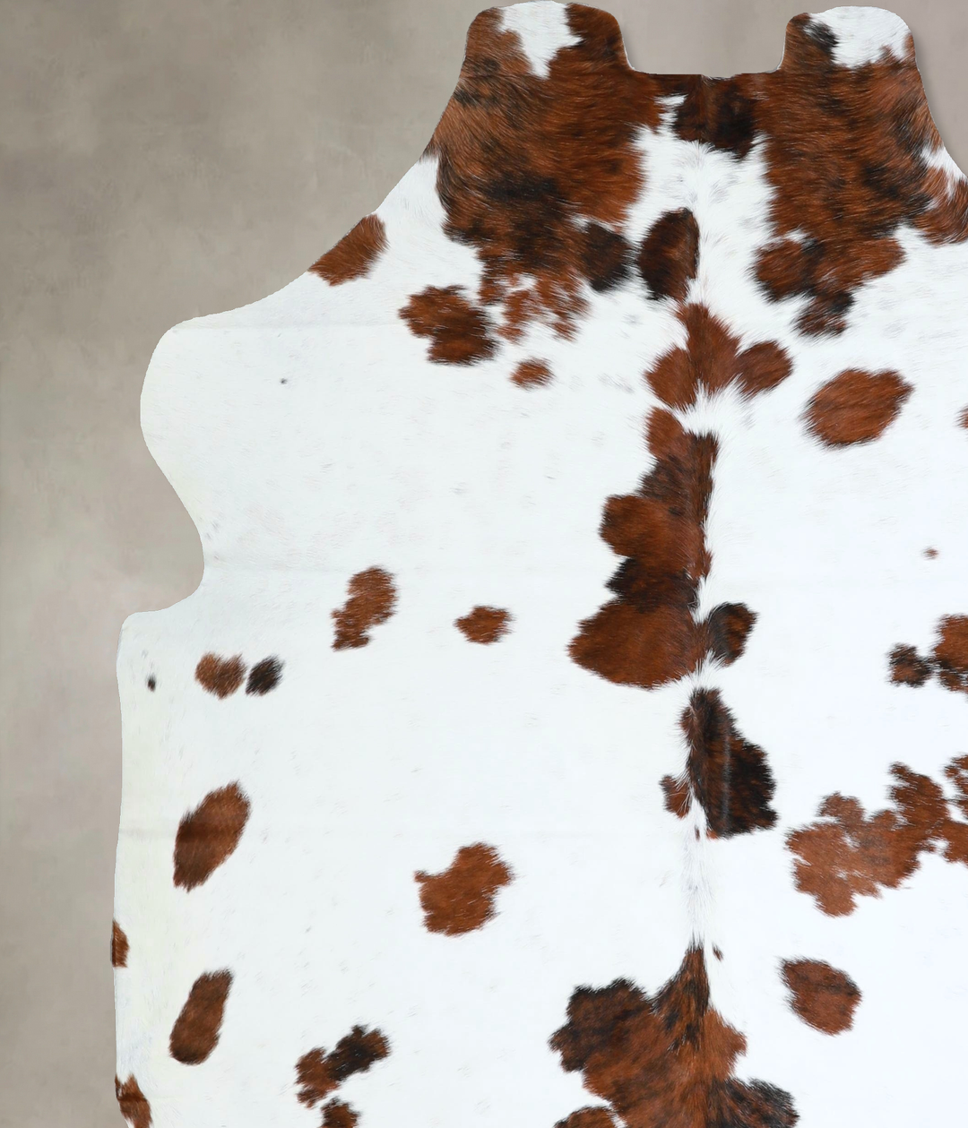 Tricolor X-Large European Cowhide Rug 7'2"H x 6'7"W #A41225 by Hudson 