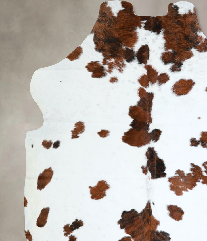 Tricolor X-Large European Cowhide Rug 7'2"H x 6'7"W #A41225 by Hudson Hides