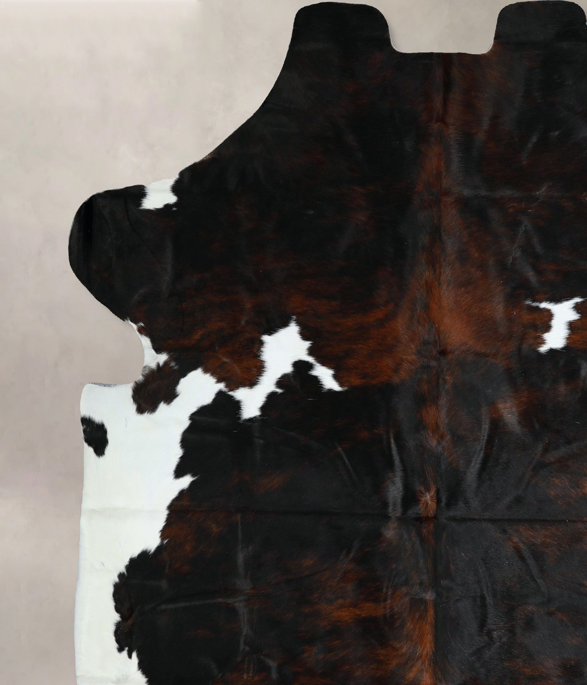 Tricolor X-Large European Cowhide Rug 7'2"H x 6'11"W #A41226 by Hudson Hides