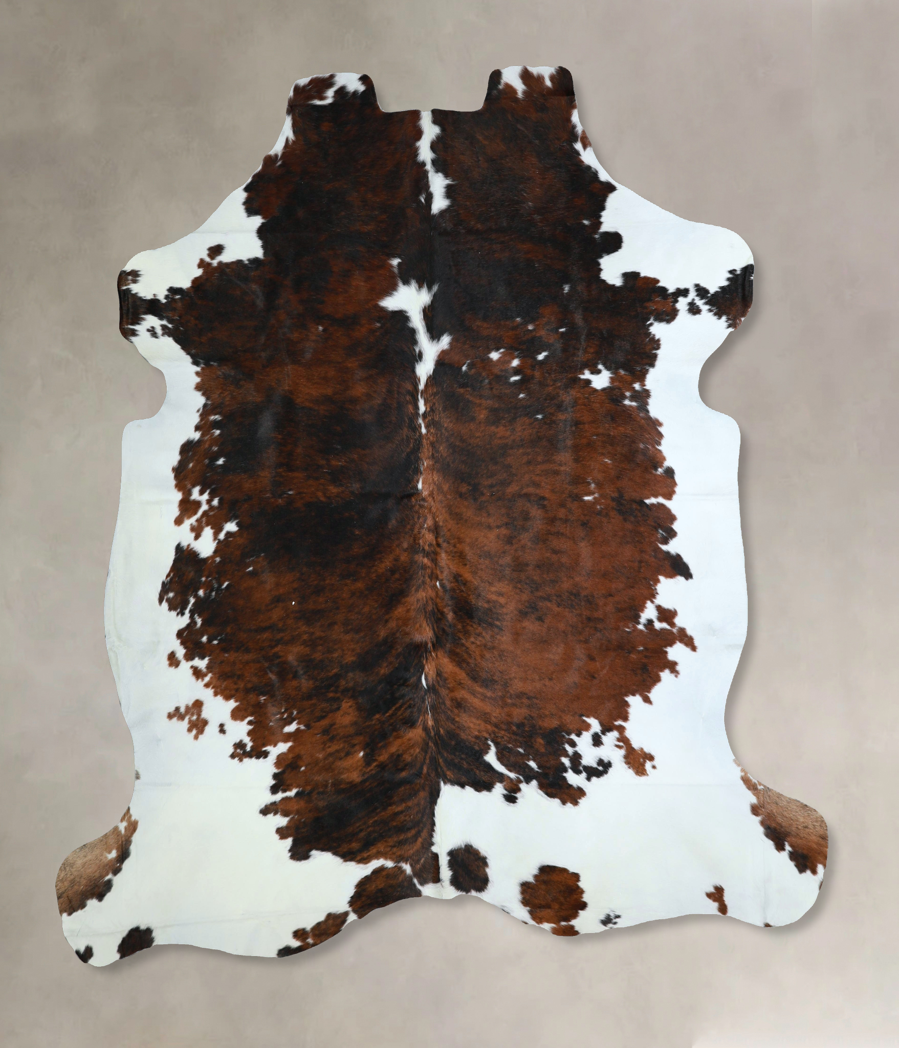 Tricolor Cowhide Rug #A41227